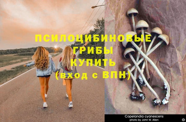 MESCALINE Алзамай