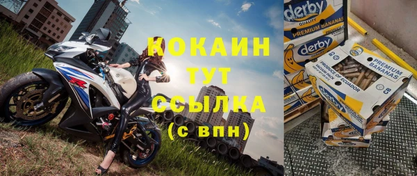 кокс Алексин