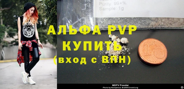дживик Абаза
